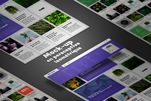 mockup en perspective