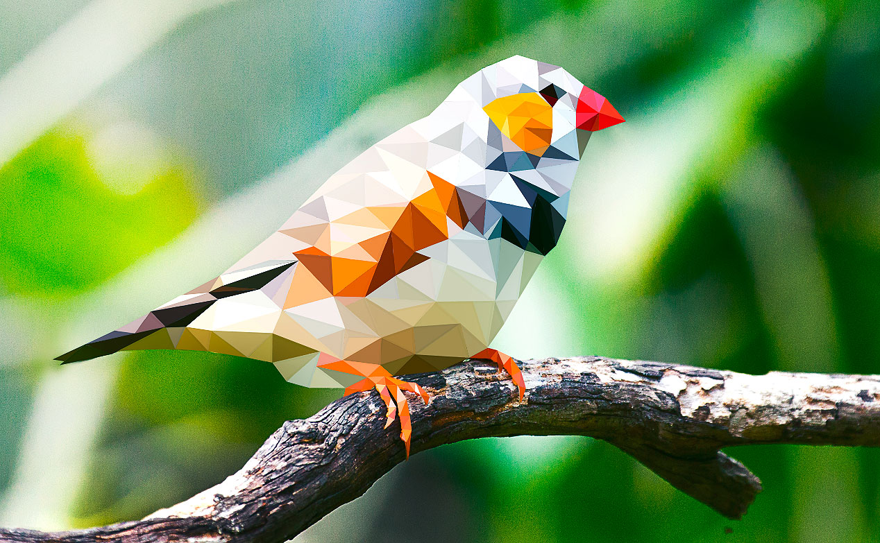 oiseau